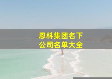 恩科集团名下公司名单大全