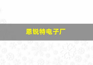 恩锐特电子厂