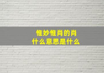 惟妙惟肖的肖什么意思是什么