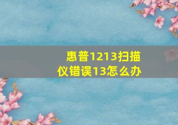 惠普1213扫描仪错误13怎么办