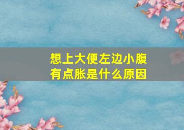 想上大便左边小腹有点胀是什么原因