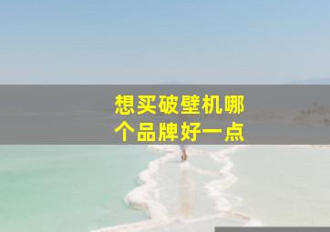 想买破壁机哪个品牌好一点