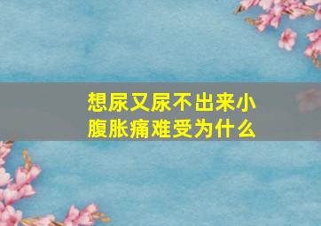 想尿又尿不出来小腹胀痛难受为什么