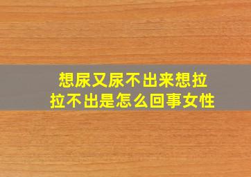 想尿又尿不出来想拉拉不出是怎么回事女性