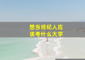 想当经纪人应该考什么大学