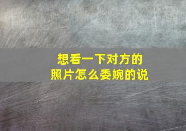 想看一下对方的照片怎么委婉的说