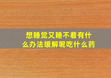 想睡觉又睡不着有什么办法缓解呢吃什么药