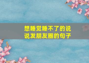 想睡觉睡不了的说说发朋友圈的句子