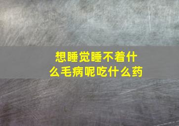 想睡觉睡不着什么毛病呢吃什么药