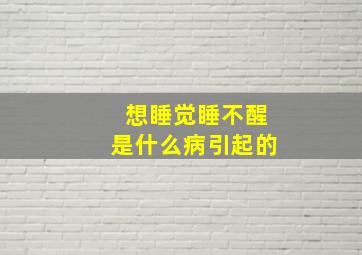 想睡觉睡不醒是什么病引起的