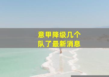 意甲降级几个队了最新消息