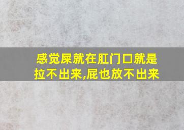 感觉屎就在肛门口就是拉不出来,屁也放不出来