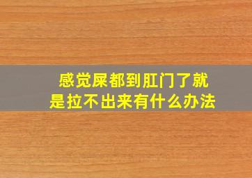 感觉屎都到肛门了就是拉不出来有什么办法