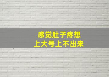 感觉肚子疼想上大号上不出来