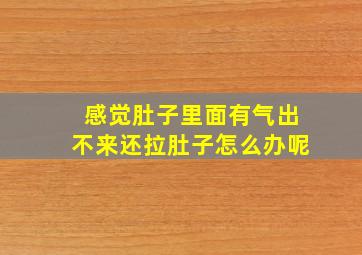 感觉肚子里面有气出不来还拉肚子怎么办呢