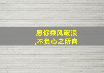 愿你乘风破浪,不负心之所向