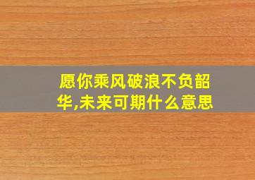 愿你乘风破浪不负韶华,未来可期什么意思