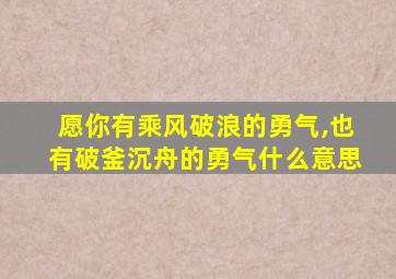 愿你有乘风破浪的勇气,也有破釜沉舟的勇气什么意思