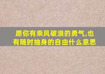 愿你有乘风破浪的勇气,也有随时抽身的自由什么意思