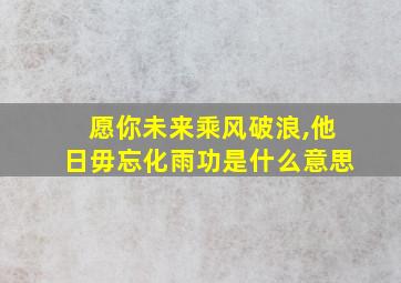 愿你未来乘风破浪,他日毋忘化雨功是什么意思