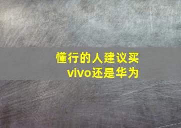 懂行的人建议买vivo还是华为