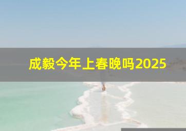 成毅今年上春晚吗2025