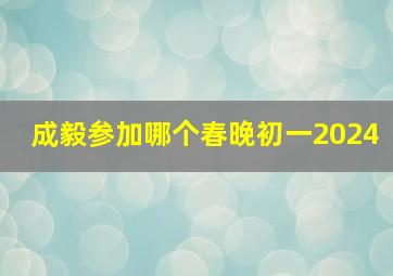 成毅参加哪个春晚初一2024