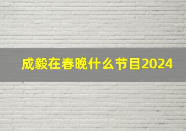 成毅在春晚什么节目2024