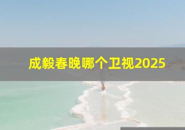 成毅春晚哪个卫视2025