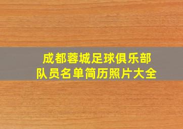 成都蓉城足球俱乐部队员名单简历照片大全