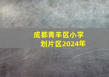 成都青羊区小学划片区2024年