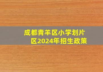 成都青羊区小学划片区2024年招生政策