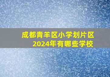 成都青羊区小学划片区2024年有哪些学校