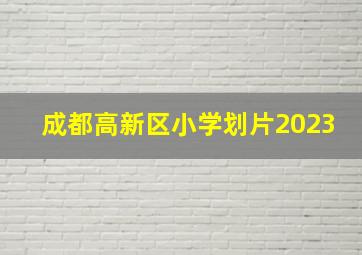 成都高新区小学划片2023