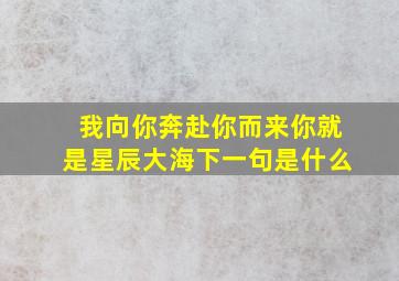 我向你奔赴你而来你就是星辰大海下一句是什么