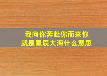 我向你奔赴你而来你就是星辰大海什么意思