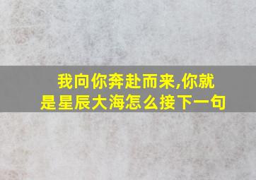 我向你奔赴而来,你就是星辰大海怎么接下一句