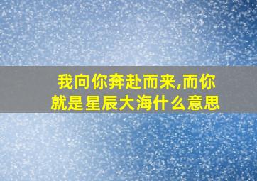 我向你奔赴而来,而你就是星辰大海什么意思