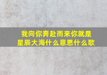 我向你奔赴而来你就是星辰大海什么意思什么歌