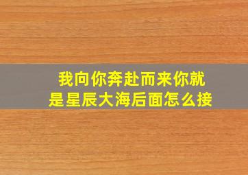 我向你奔赴而来你就是星辰大海后面怎么接