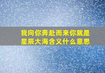 我向你奔赴而来你就是星辰大海含义什么意思