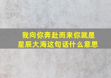 我向你奔赴而来你就是星辰大海这句话什么意思