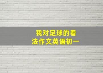 我对足球的看法作文英语初一