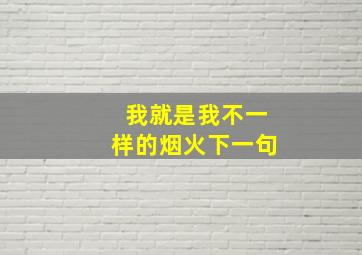 我就是我不一样的烟火下一句