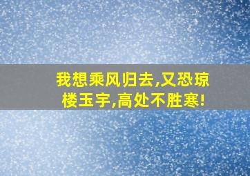 我想乘风归去,又恐琼楼玉宇,高处不胜寒!