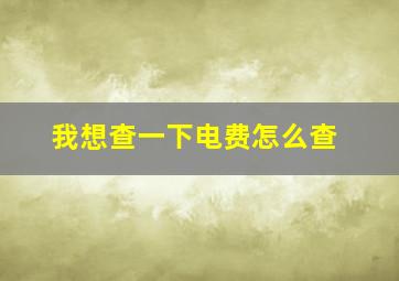 我想查一下电费怎么查