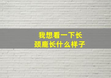 我想看一下长颈鹿长什么样子