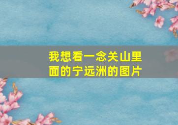 我想看一念关山里面的宁远洲的图片