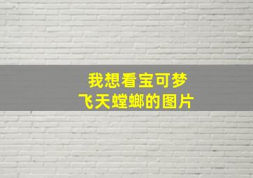 我想看宝可梦飞天螳螂的图片