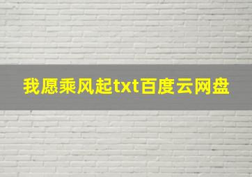 我愿乘风起txt百度云网盘